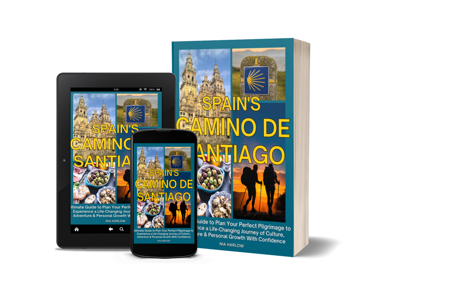 Spain's Camino de Santiago