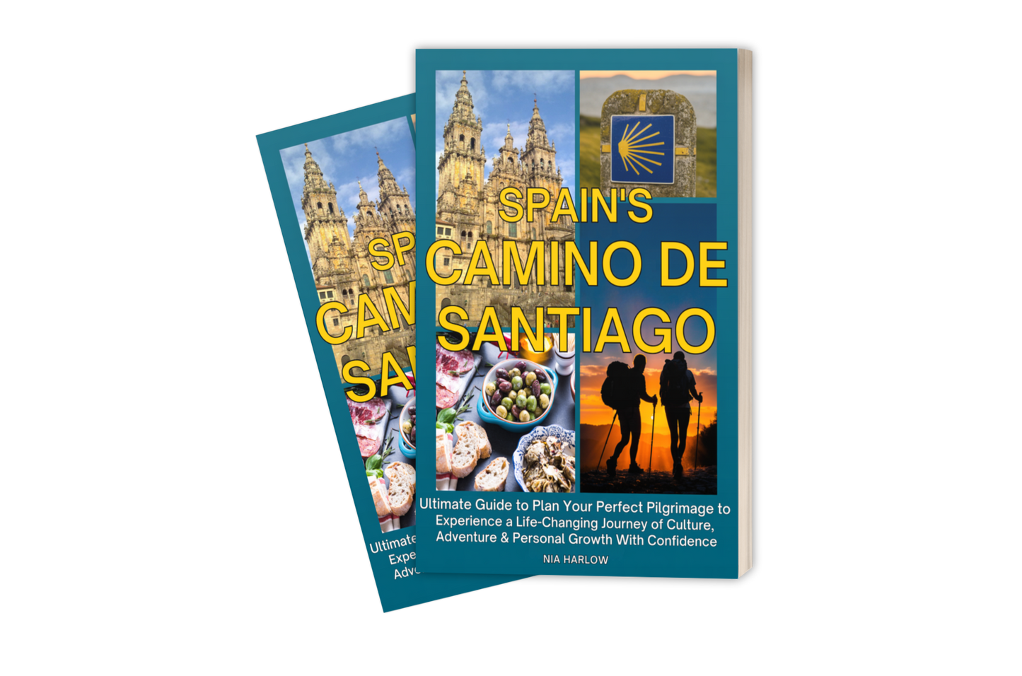 Spain's Camino de Santiago