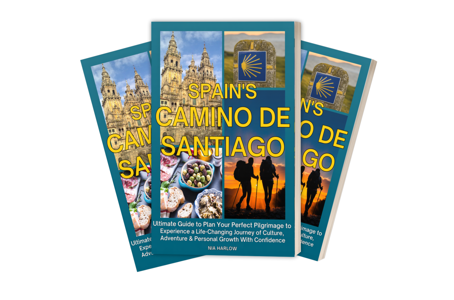Spain's Camino de Santiago